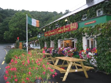 healys inn casino